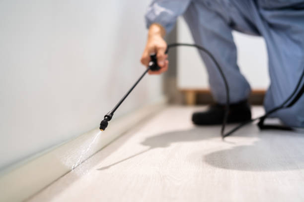 Licensed Pest Control service in Petersburg, IL - Show Me Pest Control