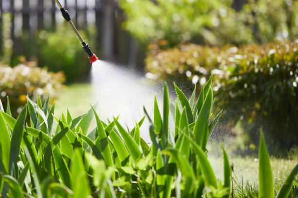 24/7 Emergency Wasp Removal experts in Petersburg, IL
