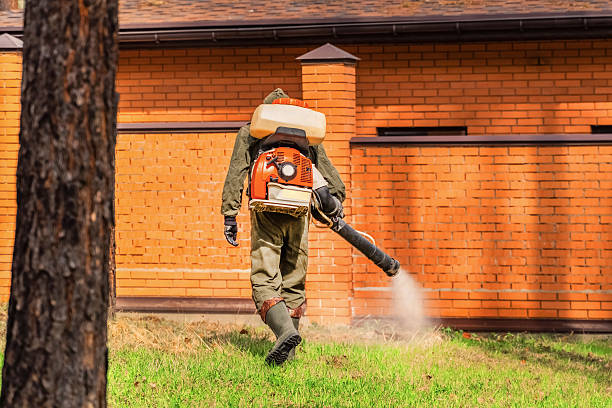 Top rated local Wasp Removal specialists in Petersburg, IL